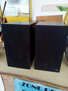 HAUT PARLEUR BW LA PAIRE