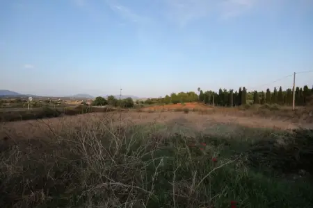 Terrenos en Manacor