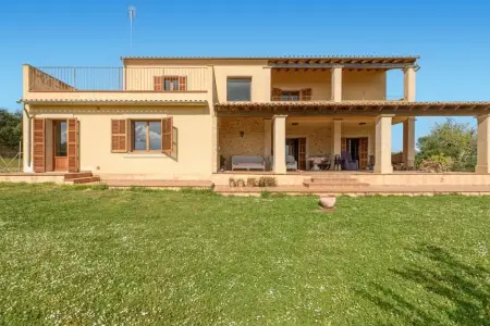 Fincas en Manacor