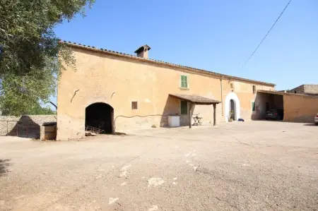 Fincas en Vilafranca de Bonany