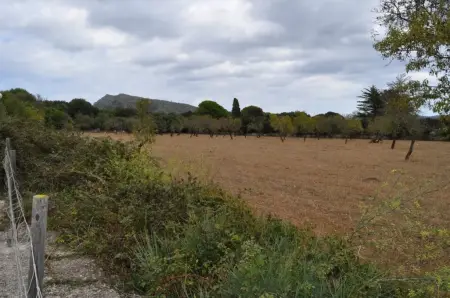 Terrenos en Arta