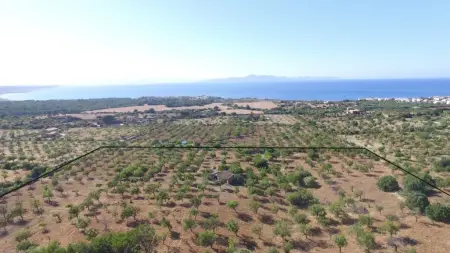 Fincas en Colonia de Sant Pere