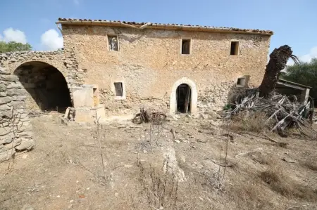 Fincas en Son Servera