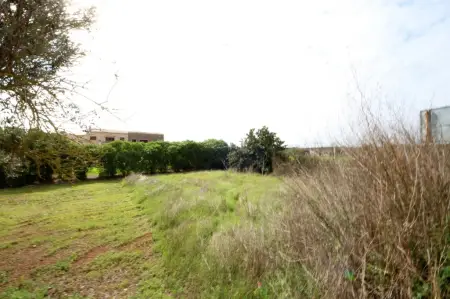 Solar urbano en Son Carrio