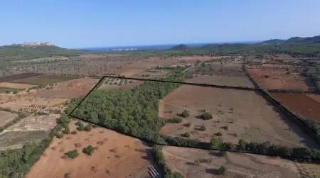 Terrenos en Felanitx