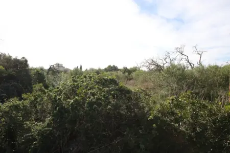 Terrenos en Felanitx