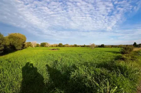 Terrenos en Manacor