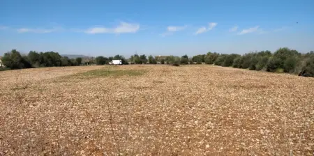 Terrenos en Manacor