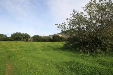 Terrenos en Felanitx