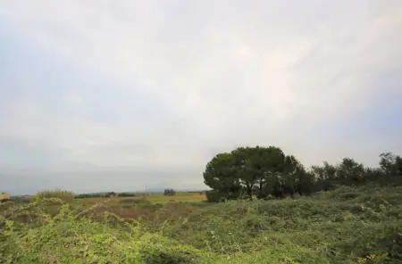 Terrenos en Manacor
