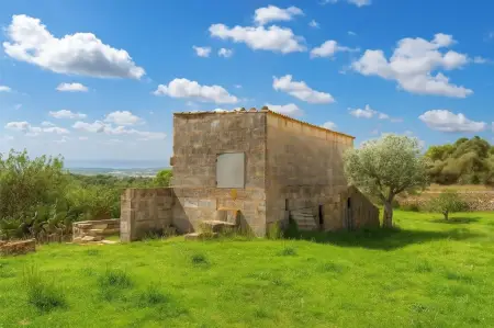 Fincas en Maria de la salut