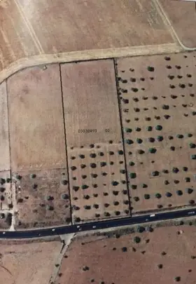 Terrenos en Porto Cristo