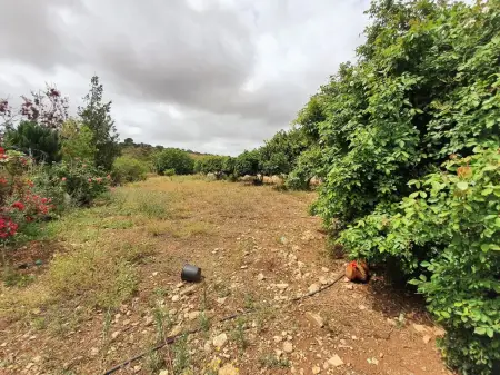 Terrenos en Son Carrio