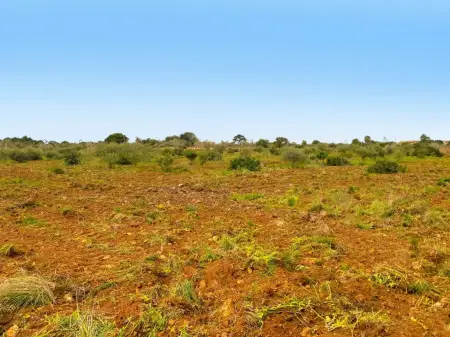 Terrenos en Porto Cristo