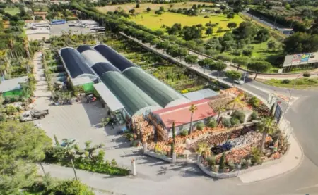 Fincas en Son Servera