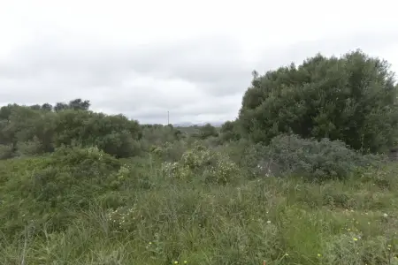 Solar urbano en Calas de Mallorca