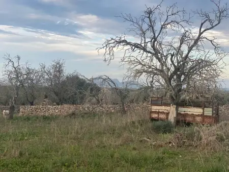 Terrenos en Santa Margarita