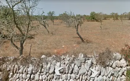 Terrenos en Santanyi
