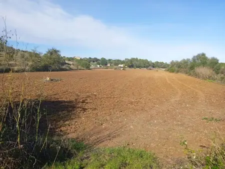Terrenos en Santa Margarita