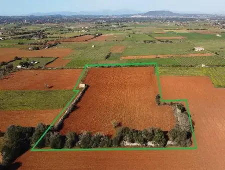 Terrenos en Felanitx