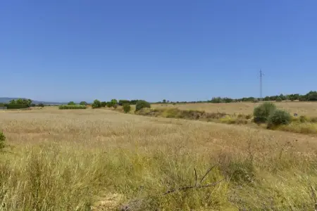 Terrenos en Manacor