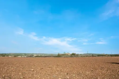 Fincas en Manacor