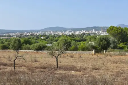 Terrenos en Manacor