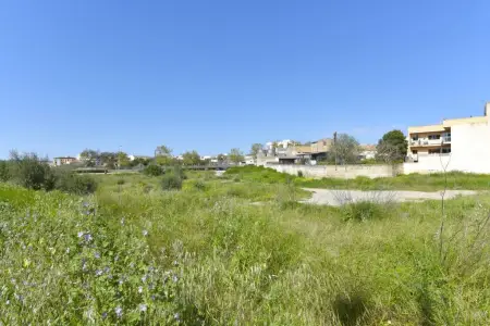 Solar urbano en Manacor