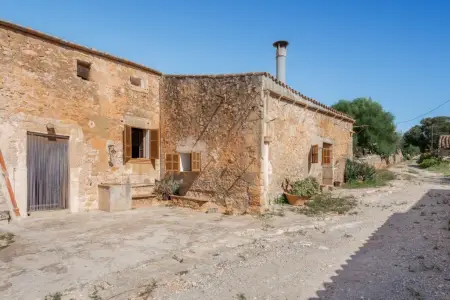 Fincas en Manacor