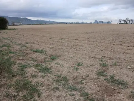 Terrenos en Vilafranca de Bonany