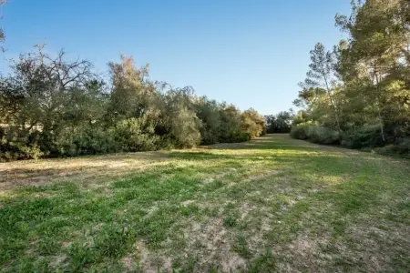 Terrenos en Lloret de Vistalegre