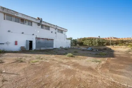 Locales en Cala Mandia