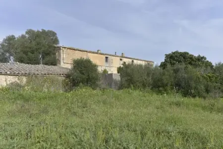 Fincas en Manacor