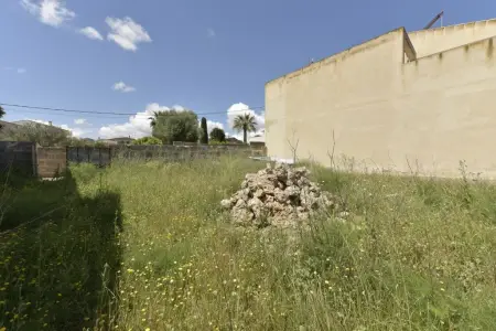 Solar urbano en Ariany