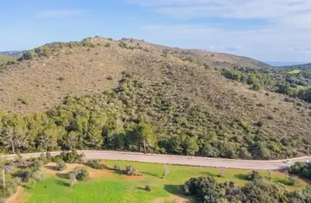 Terrenos en Canyamel
