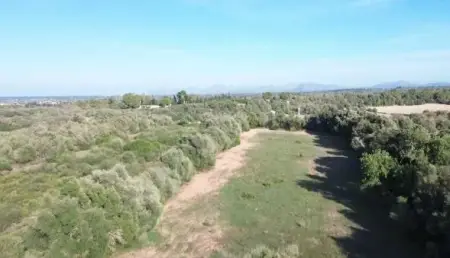 Terrenos en Muro