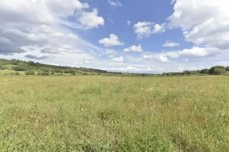 Terrenos en Ariany
