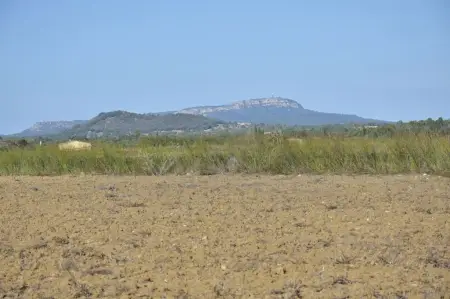 Terrenos en Felanitx