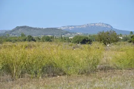 Terrenos en Felanitx