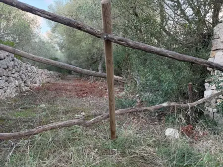 Terrenos en Son Carrio