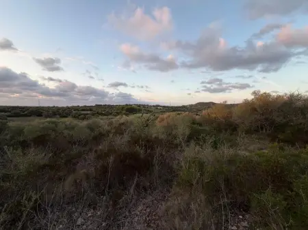 Terrenos en Son Carrio