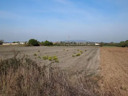 Venta Terrenos en Felanitx Mallorca