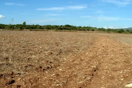 Venta Terrenos en Manacor Mallorca
