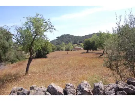 Venta Terrenos en Felanitx Mallorca