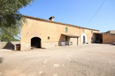 Venta Fincas en Vilafranca de Bonany Mallorca