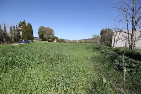 Venta Terrenos en Petra Mallorca