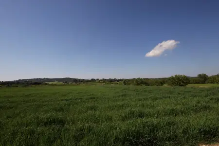 Venta Terrenos en Porreres Mallorca
