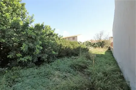 Solar urbano en Vilafranca de Bonany Riera Taylor