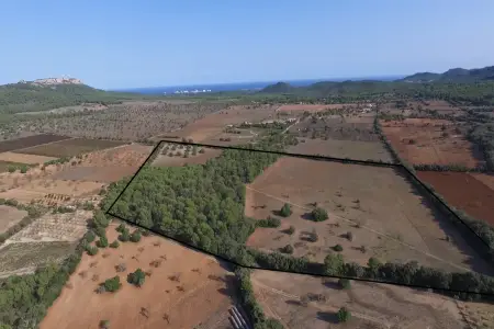 Venta Terrenos en Felanitx Mallorca
