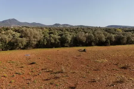 Venta Terrenos en Felanitx Mallorca